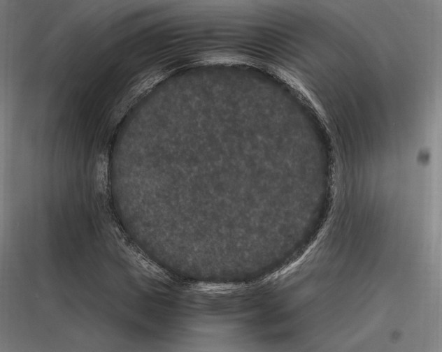 X0000116780825201001281212