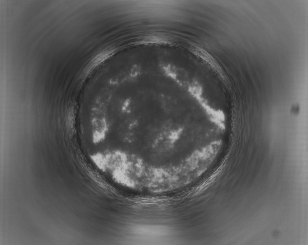 X0000116780826201001281212