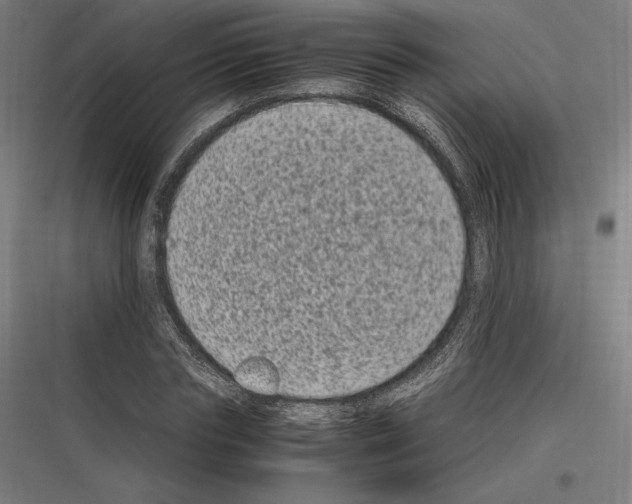 X0000116780827201001281212