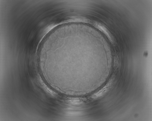 X0000116780828201001281212