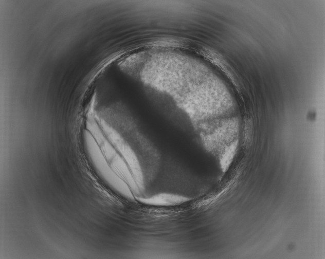 X0000116780829201001281212