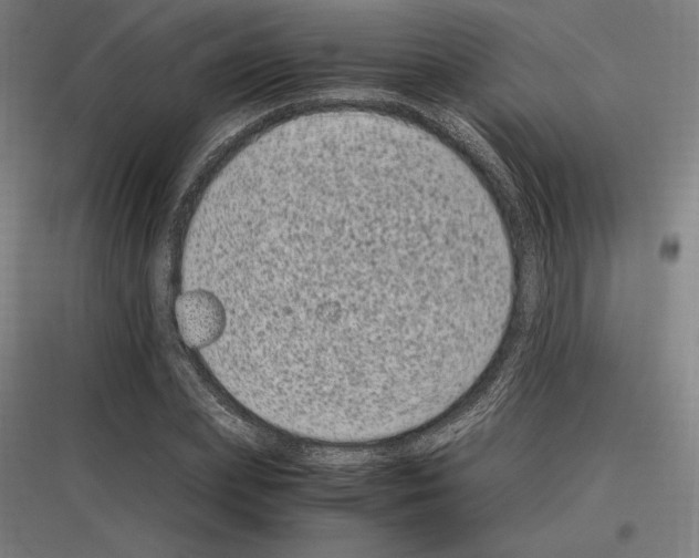 X0000116780831201001281212