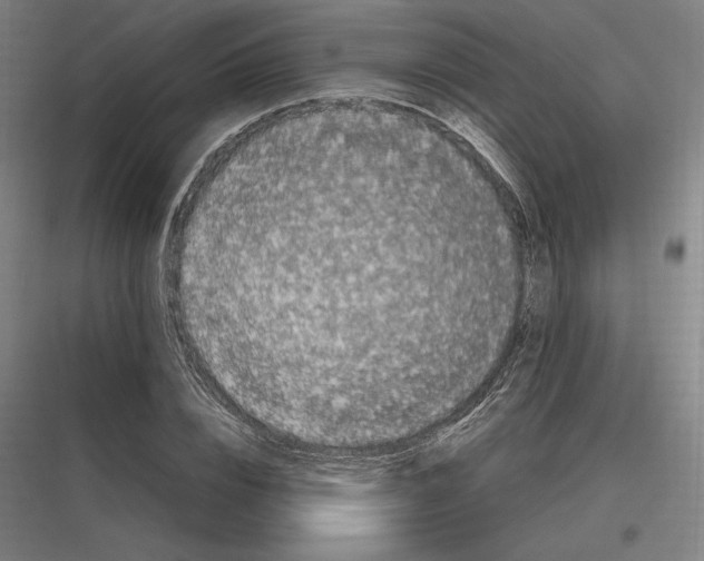 X0000116780832201001281212