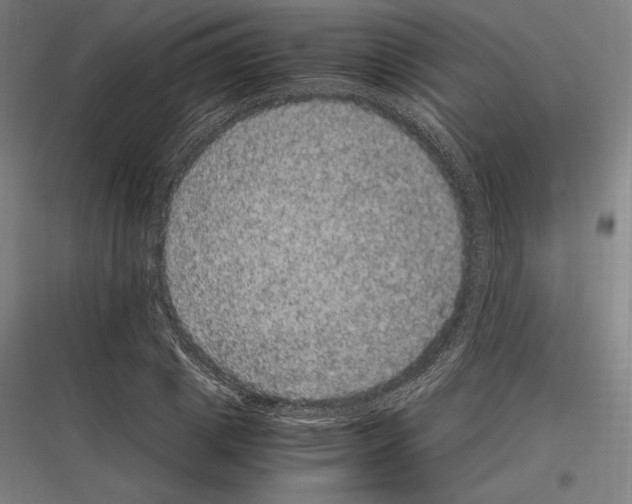 X0000116780833201001281212