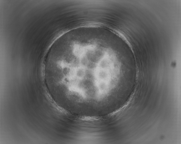 X0000116780835201001281213