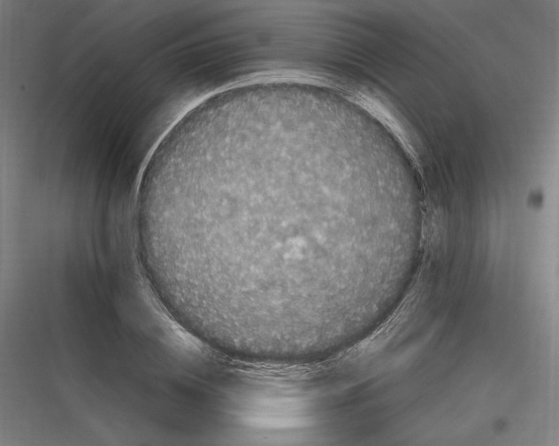 X0000116780836201001281213