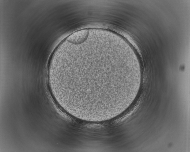 X0000116780837201001281213