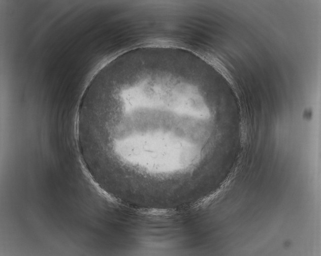 X0000116780839201001281213