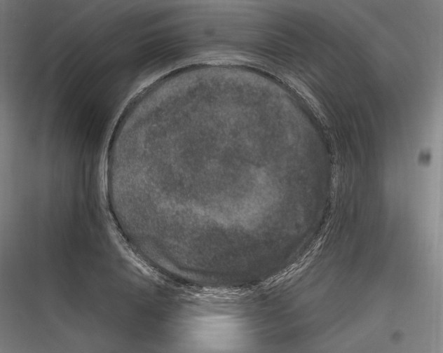 X0000116780840201001281213