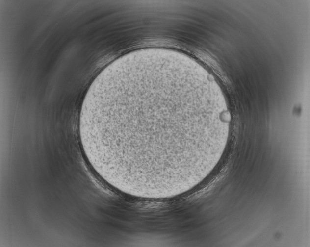 X0000116780841201001281213