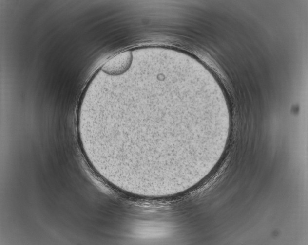 X0000116780842201001281213