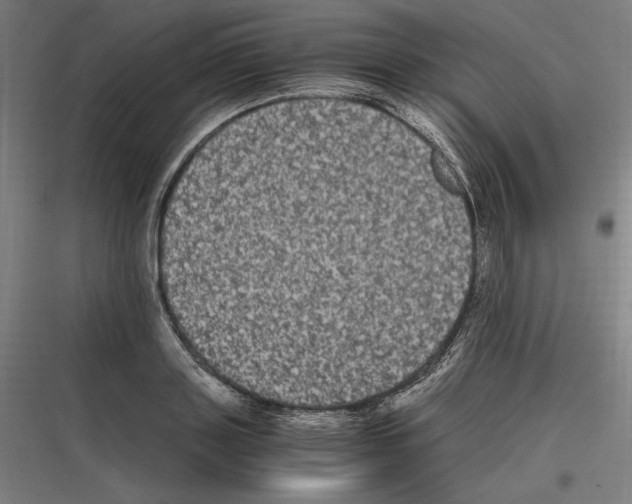 X0000116780843201001281213