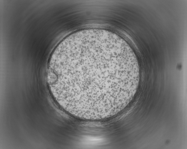 X0000116780844201001281213