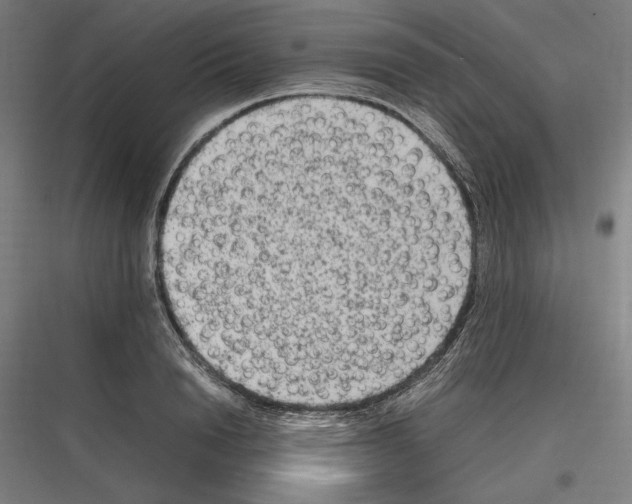 X0000116780846201001281213