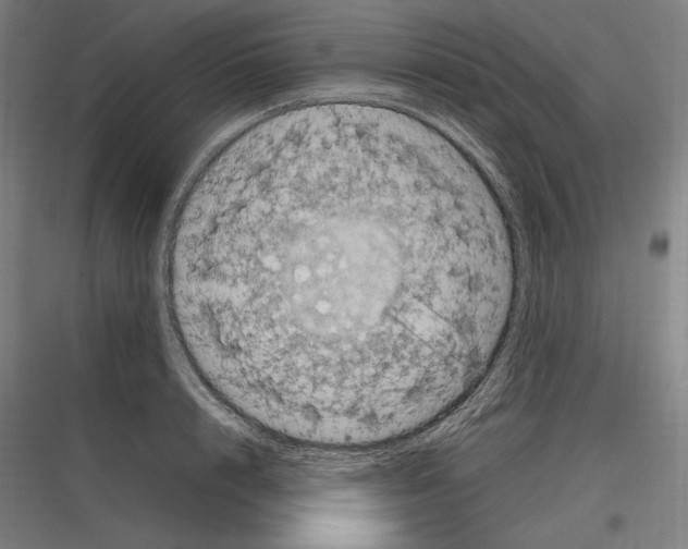 X0000116780848201001281213