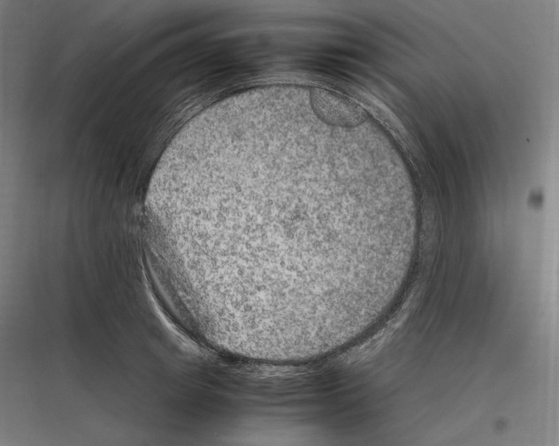 X0000116780849201001281213