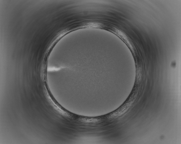 X0000116780851201001281213