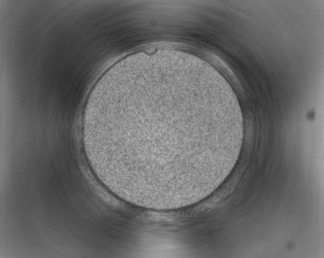 X0000116780852201001281213