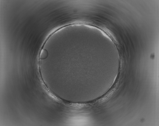 X0000116780854201001281213