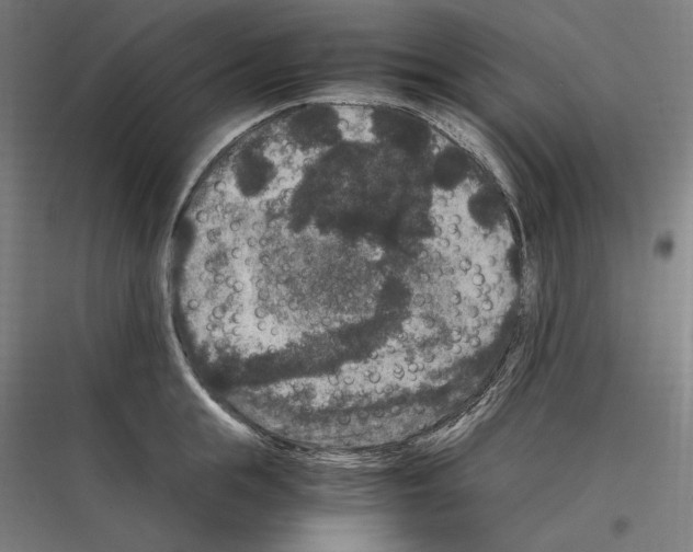 X0000116780855201001281213