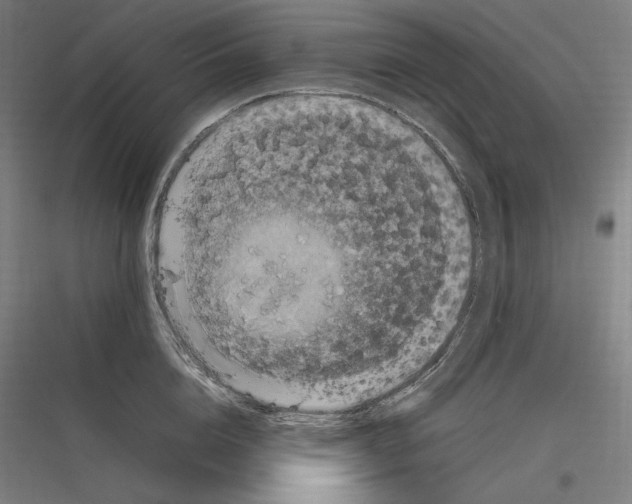 X0000116780856201001281213