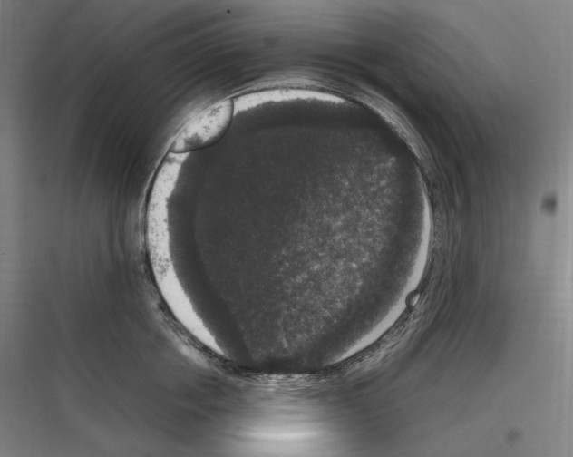 X0000116780858201001281213