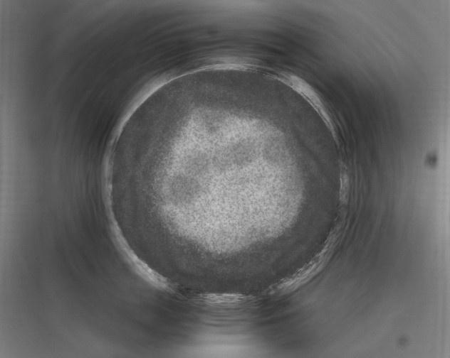 X0000116780859201001281213