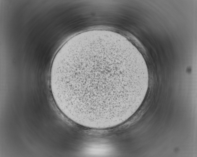 X0000116780860201001281213