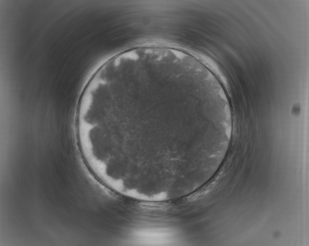 X0000116780863201001281213