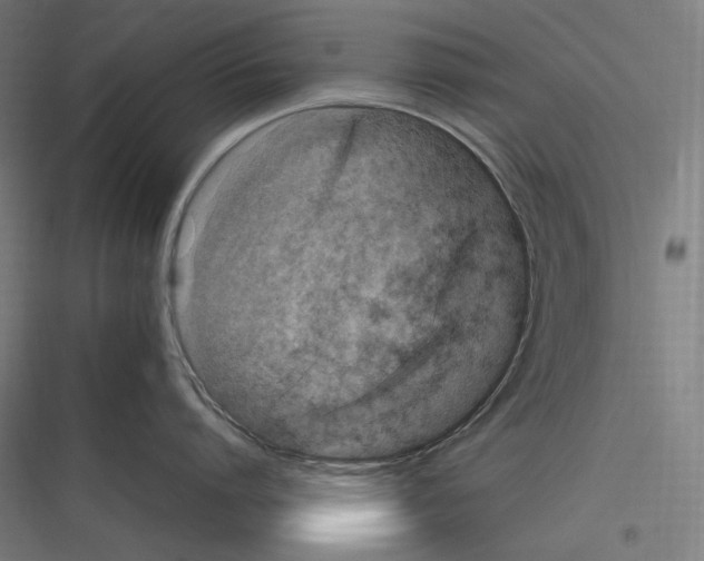 X0000116780864201001281213