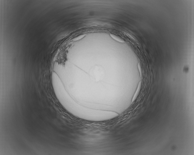 X0000116780869201001281212