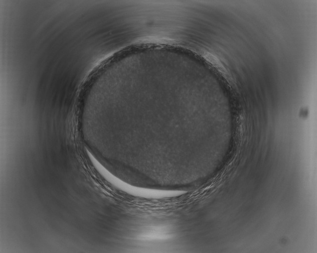 X0000116780872201001281212