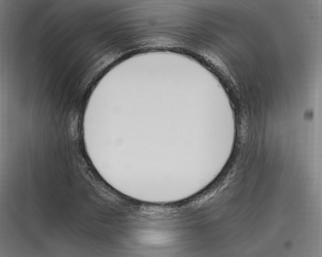 X0000116780873201001281212