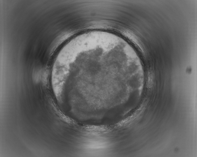 X0000116780874201001281212