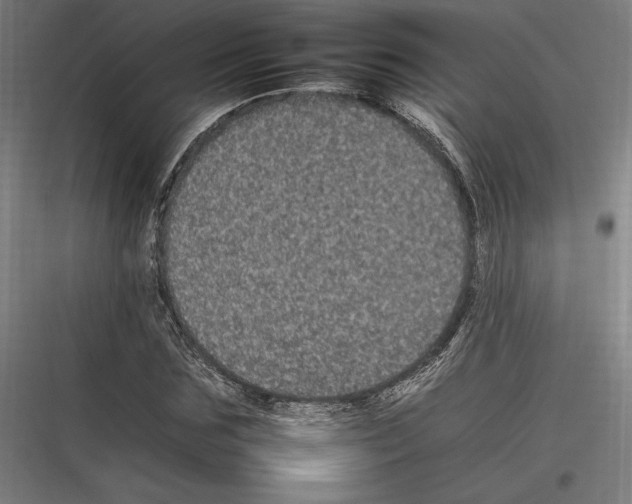 X0000116780875201001281212