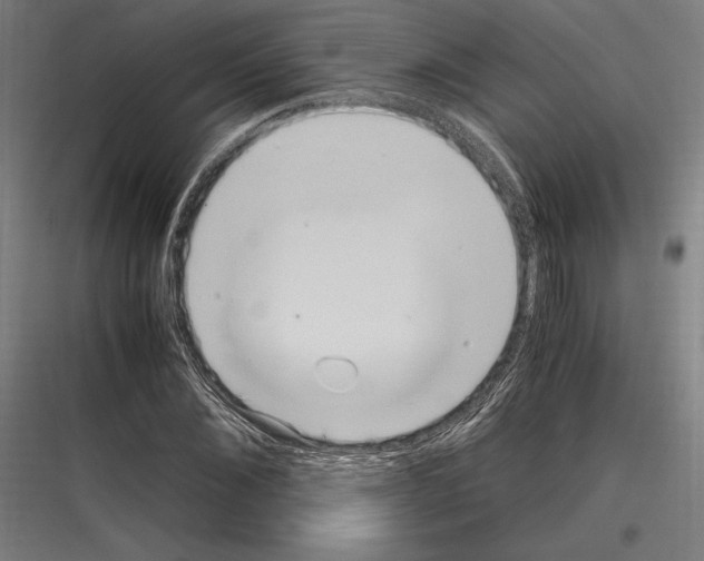 X0000116780876201001281212