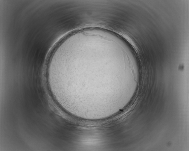 X0000116780878201001281212