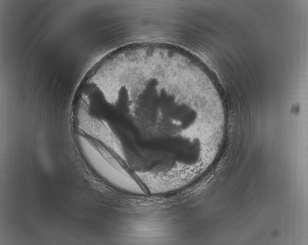 X0000116780879201001281212