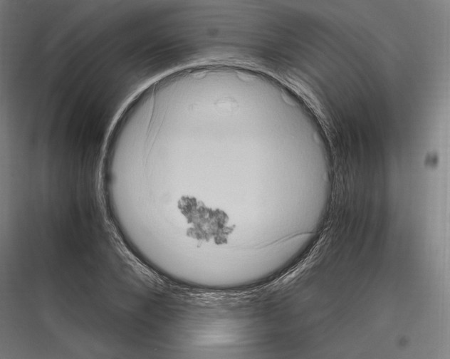 X0000116780880201001281212