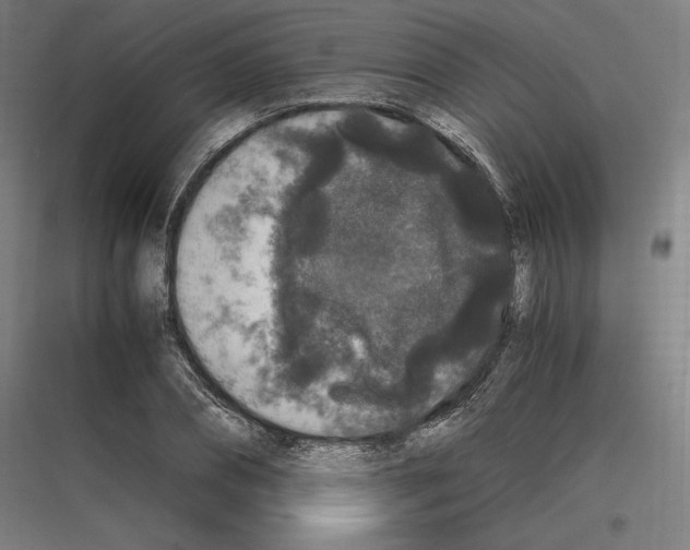 X0000116780882201001281212