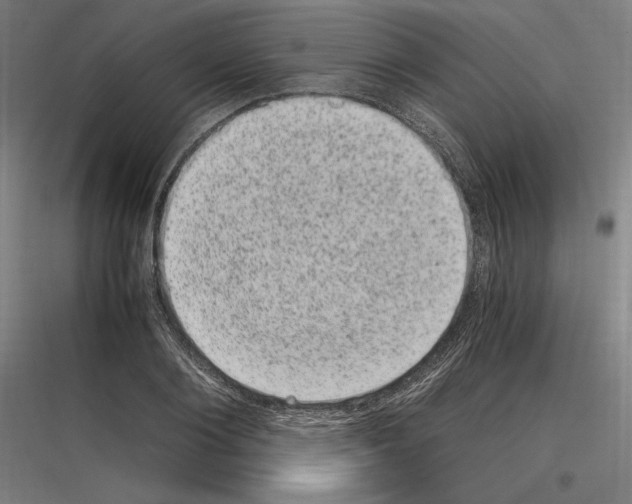 X0000116780884201001281212