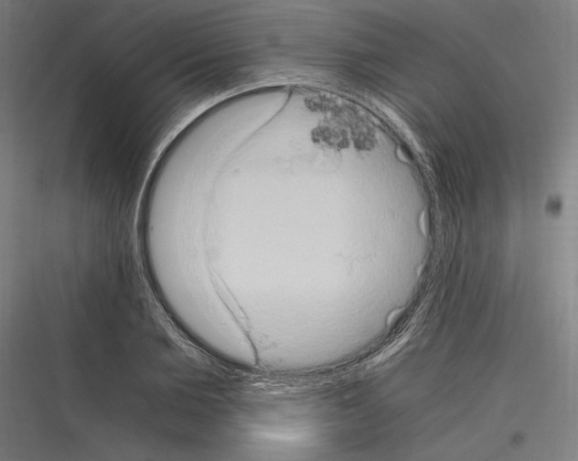 X0000116780885201001281212