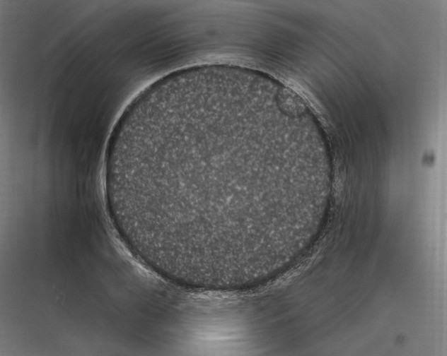 X0000116780888201001281212