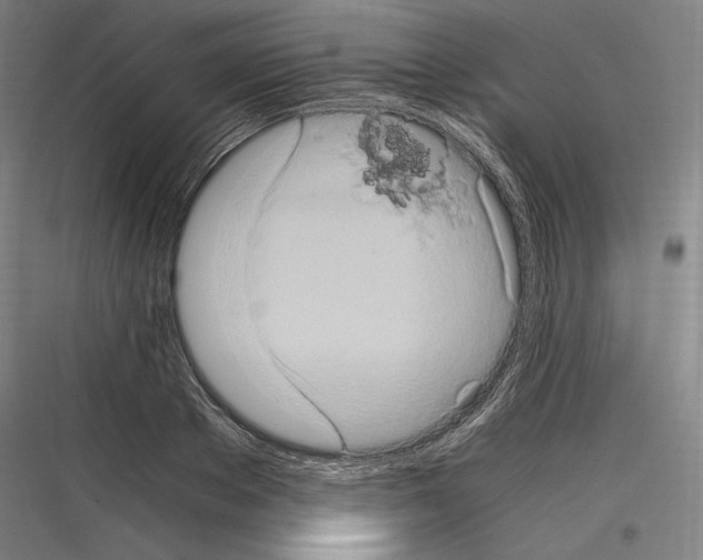 X0000116780889201001281212