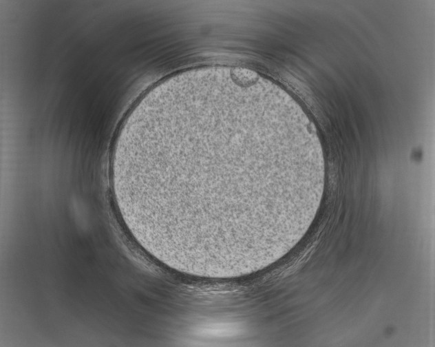 X0000116780891201001281212