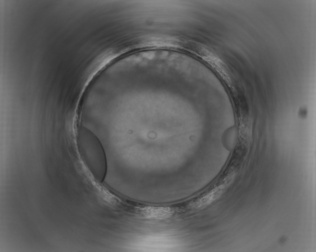 X0000116780893201001281212