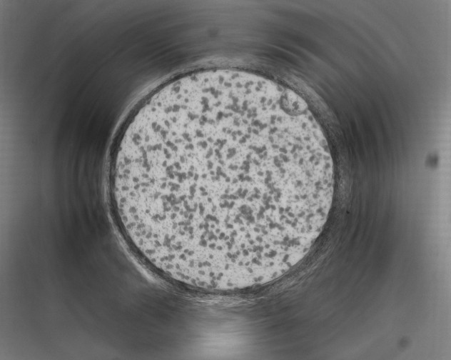 X0000116780894201001281212