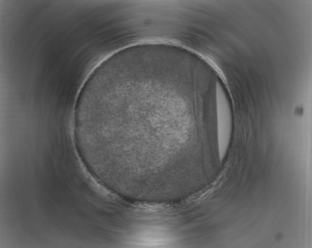 X0000116780895201001281212