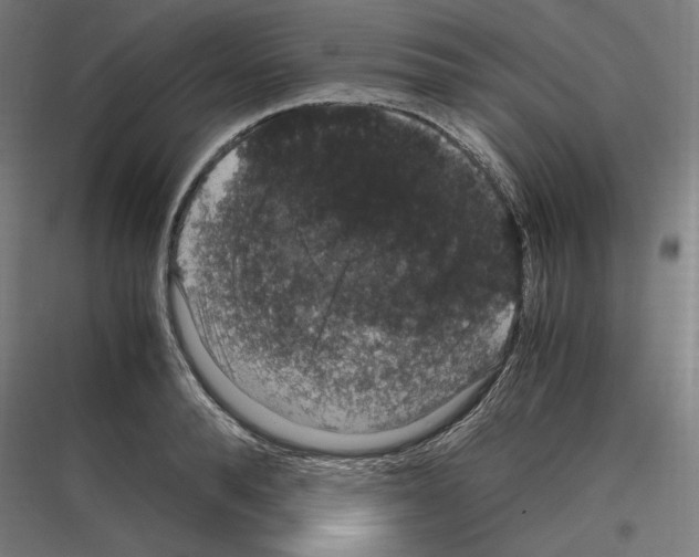 X0000116780896201001281212