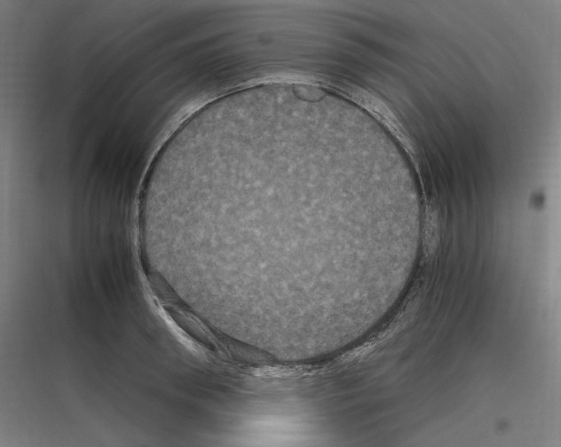 X0000116780898201001281212